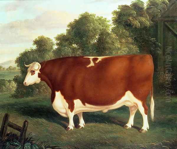 Ox, c.1850 - view 1