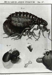 Table IV of Flies and Fleas