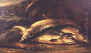 Still Life of Salmon