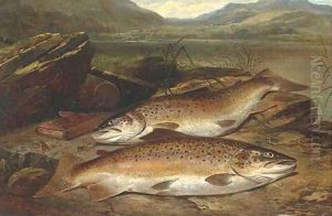Brown trout on a river bank