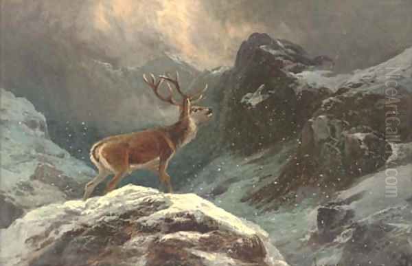 A stag in a highland winter landscape - view 1