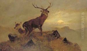 Dusk over the Highlands by Clarence Roe