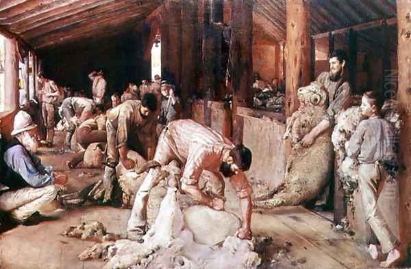 Sheep Shearing - view 1