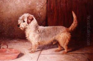 Callun, a Dandy Dinmont, 1895 by Colin Graeme Roe
