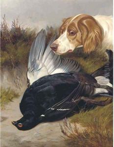 A gundog with a black game by Colin Graeme Roe