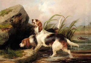 Otter hounds on the scent by Colin Graeme Roe