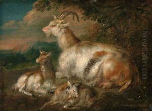 Goats and a kid in a wooded landscape Goats and a kid in a wooded landscape