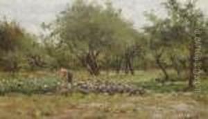 Woman On Thecabbage Field