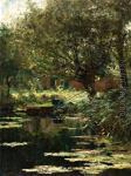 Wilgen Aan De Sloot - view 1