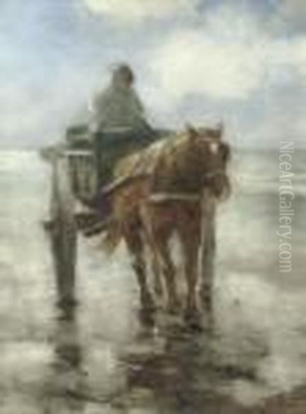 Shell Fisher In The Surf - view 1