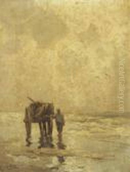 On The Beach - view 1