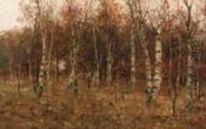 A Hunter In A Birch Forest A Hunter In A Birch Forest