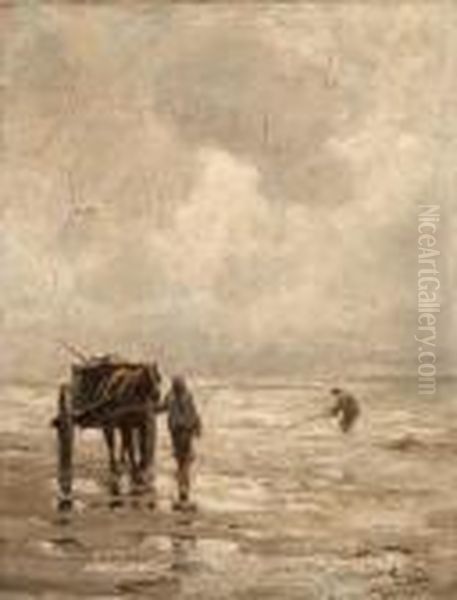 Clam Diggers - view 1