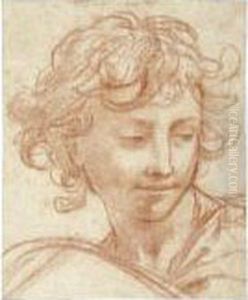 Study Of The Head Of A Youth