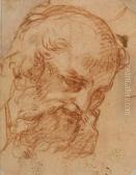 Head Of A Bearded Man - view 1