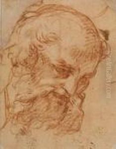 Head Of A Bearded Man Head Of A Bearded Man