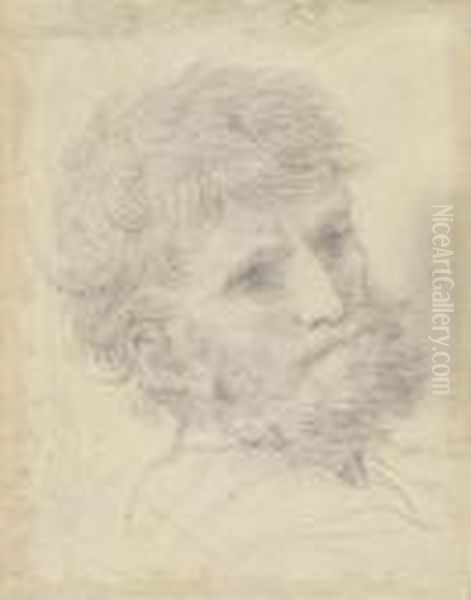 Tete D'un Homme Barbu - view 1
