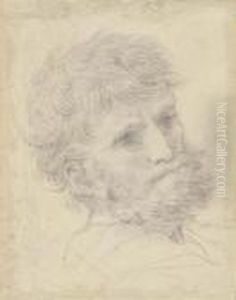 Tete D'un Homme Barbu by Pietro Da Cortona (Barrettini)