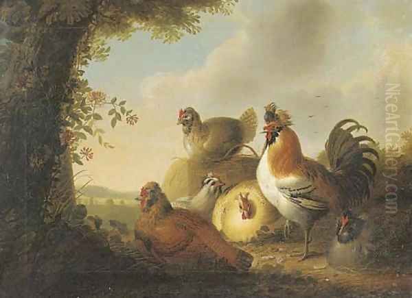 A cockerel and chickens in a wooded landscape - view 1