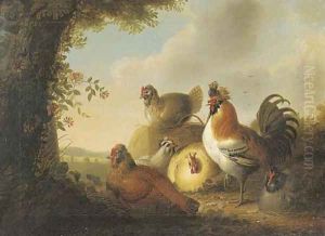 A cockerel and chickens in a wooded landscape