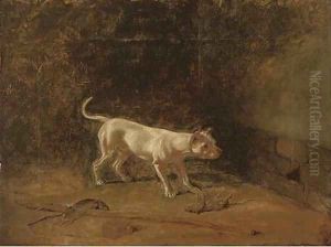 The rat-catcher by John Samuel Raven
