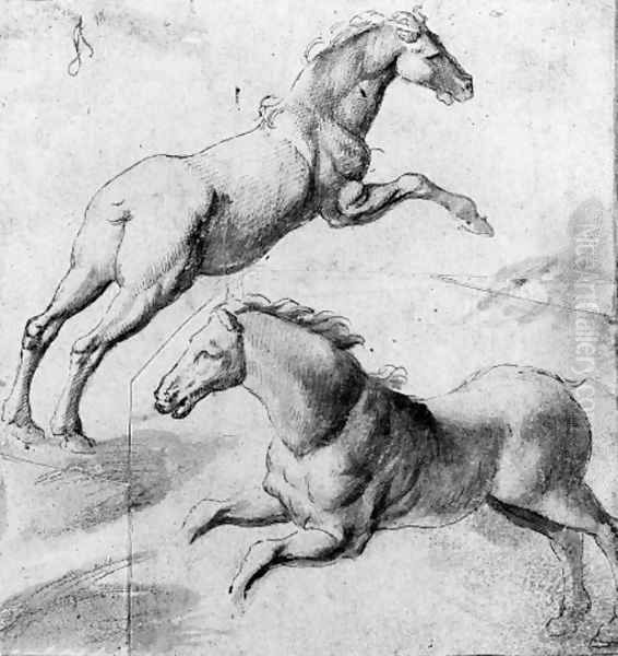Study of two horses jumping - view 1