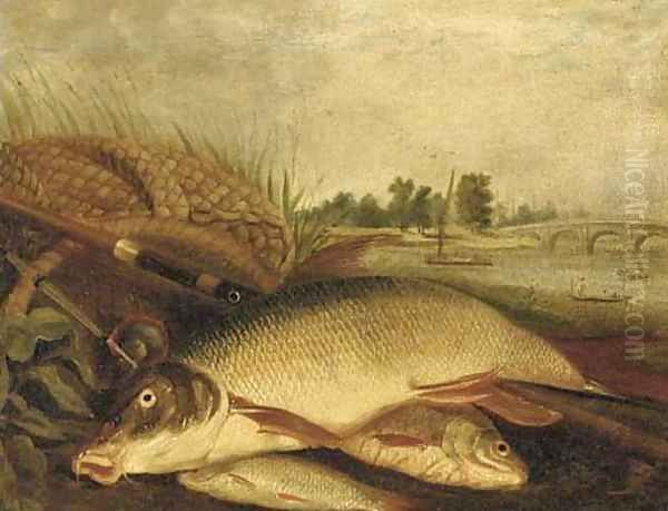 The day's catch - view 1