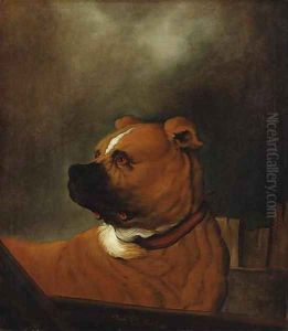 A mastiff standing in a stall