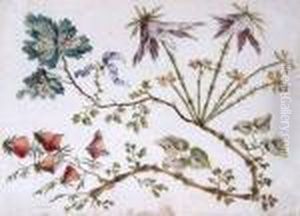 Two Floral And Foliage Studies by Jean-Baptiste Pillement
