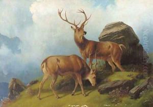 Stags on a mountain by Robert Henry Roe