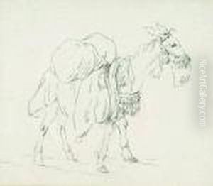 Burro