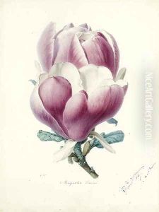 A Magnolia Flower by Alfred Riocreux