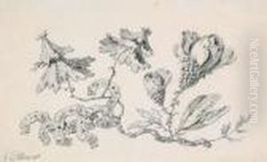 Entwurf Fur Ein Ornament Mit Bluten Und Bandern by Jean-Baptiste Pillement