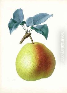An Apple