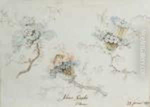 Bouquets De Fleurs Stylises Et Branchages