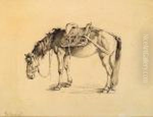 Etude De Cheval by Jean-Baptiste Pillement