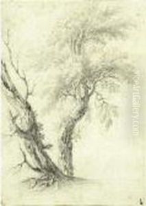 Study Of Two Trees Study Of Two Trees