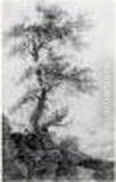 Etude D'arbre - view 1