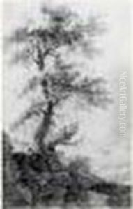 Etude D'arbre