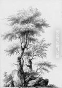 Two Studies Of Trees Two Studies Of Trees