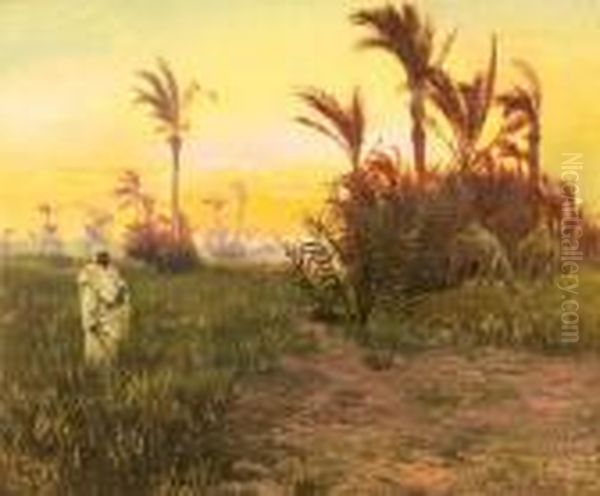 In The Oasis At Sunset - view 1