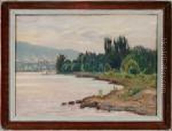 Uferlandschaft Mit Blick Auf Eine Stadt Links Im Hintergrund - view 1