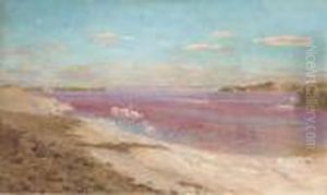 The Flamingo Lake