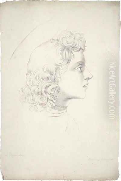 The head of an angel, after Filippino Lippi - view 1