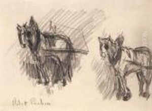 Chevaux De Trait Chevaux De Trait