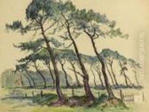 Arbres Sous Le Vent Arbres Sous Le Vent