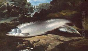 Salmon on a Rock by a River
