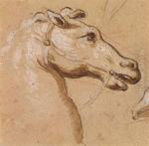 A Head Of A Bridled Horse Facing Right