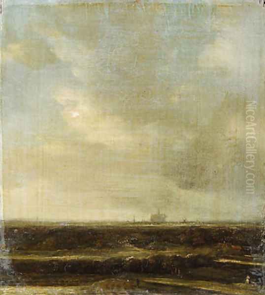 Landscape with a distant view of Haarlem - view 1