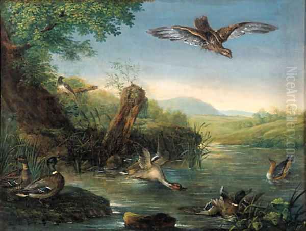 An eagle in flight watching ducks by a pool - view 1